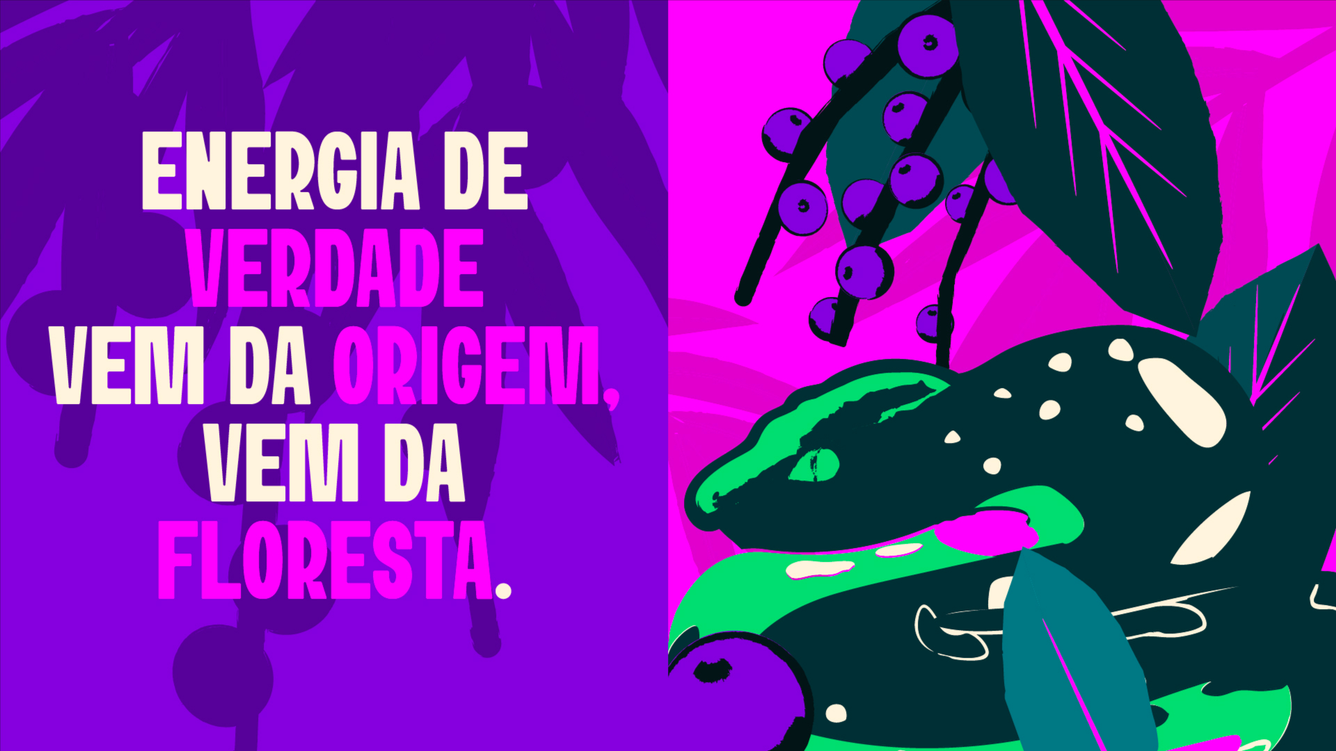 foto do case COOPISA resources/1762539097_690e365933cb1.jpg
