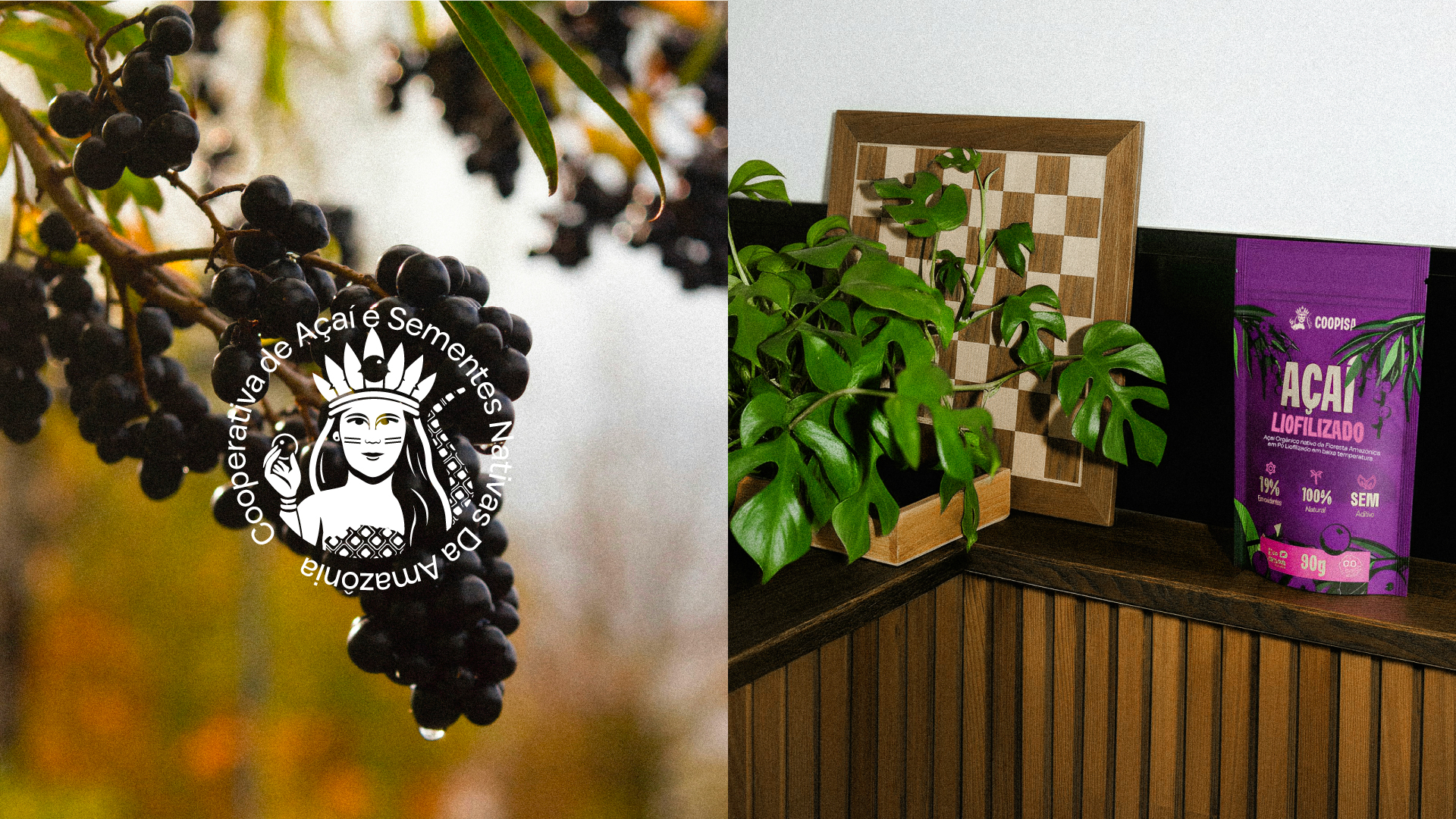 foto do case COOPISA resources/1762539097_690e36593ff1d.jpg